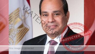 السيسي يقر بإصدار تعديلات قانون التنمية المتكاملة في سيناء 