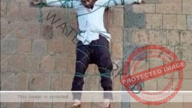 إعدام طبيب يمني بعد صلبه على مبنى حكومي