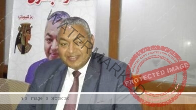 فوز محمود بكرى في انتخابات مجلس الشيوخ 