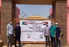 تكريم رسمي وشعبي للبعثة الطبية المصرية في السودان