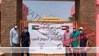 تكريم رسمي وشعبي للبعثة الطبية المصرية في السودان