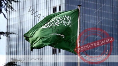 وزارة الداخلية السعودية: إعدام مواطن سعودي الجنسية بـ الرياض