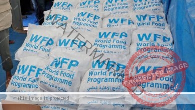 روسيا تتبرع بـ20 مليون دولار لبرنامج الأغذية العالمي لمساعدة سوريا