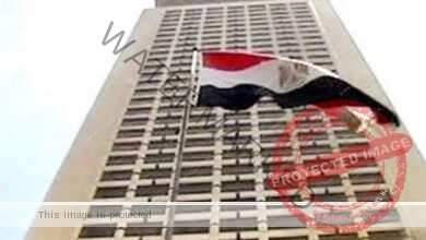 الخارجية المصرية تستنكر تصريحات أوغلو حول ثورة 30 يناير