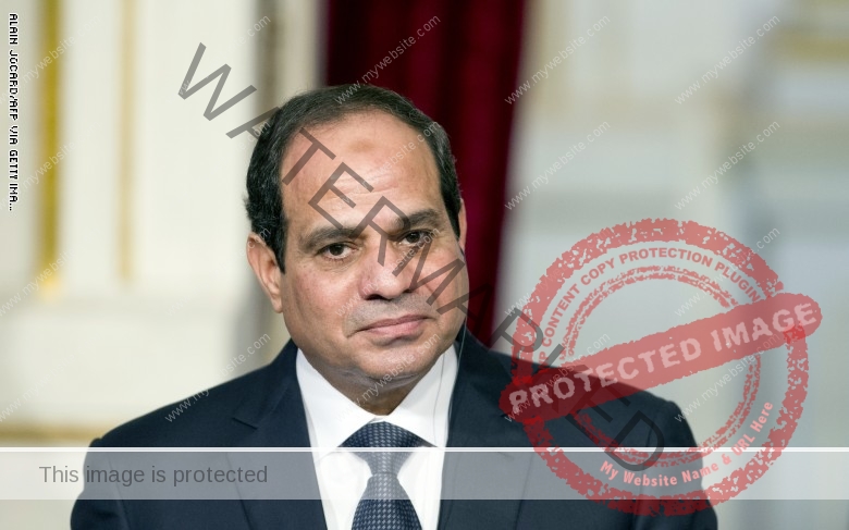 السيسي : هناك تصاعد لقلق الأمة المصرية بشأن سد النهضة