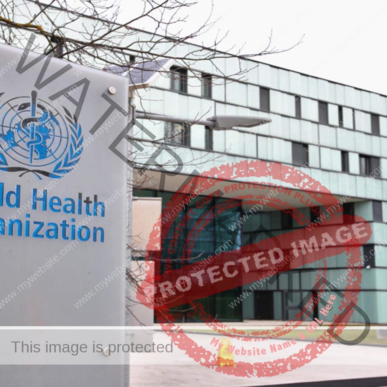 الصحة العالمية: لقاح الانفلونزا الموسمية لايمنع الإصابة ب كورونا