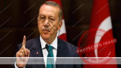 أردوغان : نعتزم منح الدبلوماسية مجالا لتسوية الخلافات مع الدول الأخرى