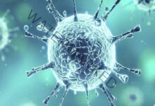 الصحة العالمية: فيروس كورونا مازال خطيرًا