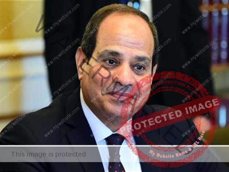 السيسي: مصر عازمة على دعم ليبيا لتخلص من التنظيمات الإرهابية