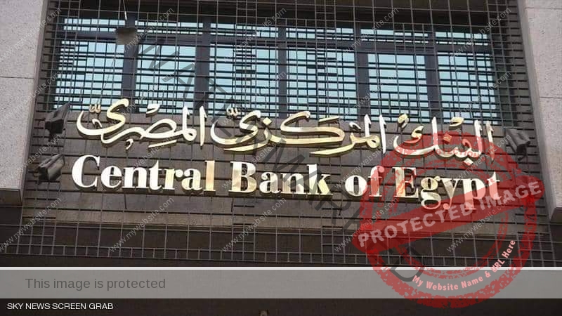 البنك المركزي: استمرار حدود النقد المصري للمسافرين عند 5 آلاف جنيه