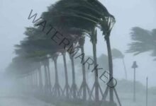 الأرصاد الأمريكية تحذر من أن تضرب عاصفة "سالي" فلوريدا