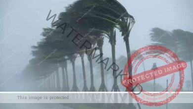الأرصاد الأمريكية تحذر من أن تضرب عاصفة "سالي" فلوريدا