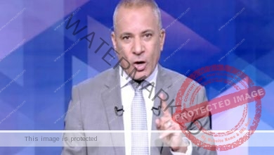 أحمد موسى : وزير الإعلام لم يجب علي تساؤلاتنا وتحدث في أمور عامة.. فيديو
