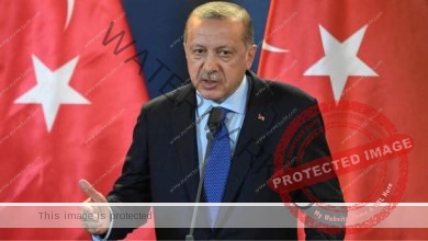 أردوغان" يمنح زوج شقيقته إعفاء ضريبيا بمبلغ 9.5 مليار ليرة