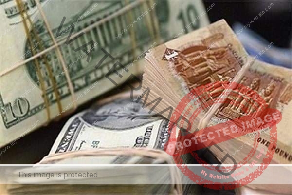 سعر الدولار اليوم الأحد مقابل الجنية المصري في التعاملات البنكية
