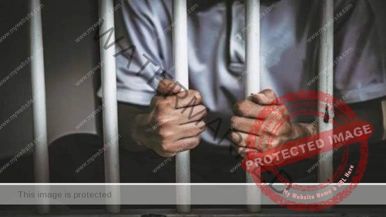 حبس متهمين بالتعدي على فتاة أجنبية بمدينة نصر احتياطيا 