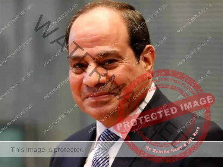 السيسي يوجه باستمرار تطوير أنشطة صندوق "تحيا مصر"