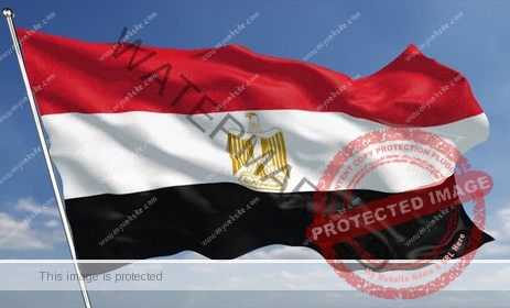 مصر تدين الاعتداء علي طاقم طبي تابع للهلال الأحمر الإماراتي
