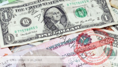 "سعر الدولار" مقابل الجنية المصري اليوم من بداية التعاملات البنكية