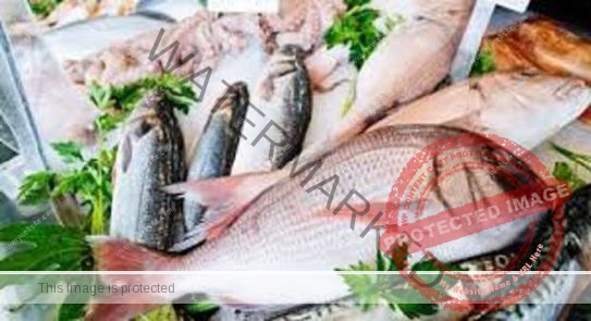 أسعار الأسماك في الأسواق المصرية اليوم الأحد 08/11/2020