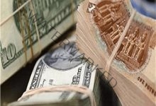 سعر الدولار أمام الجنية المصري من بداية التعاملات في البنوك المصرية