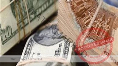 سعر الدولار أمام الجنية المصري من بداية التعاملات في البنوك المصرية