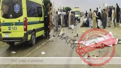 مصرع 12 شخصا في حادث سير بالطريق الصحراوي الشرقي بـ المنيا