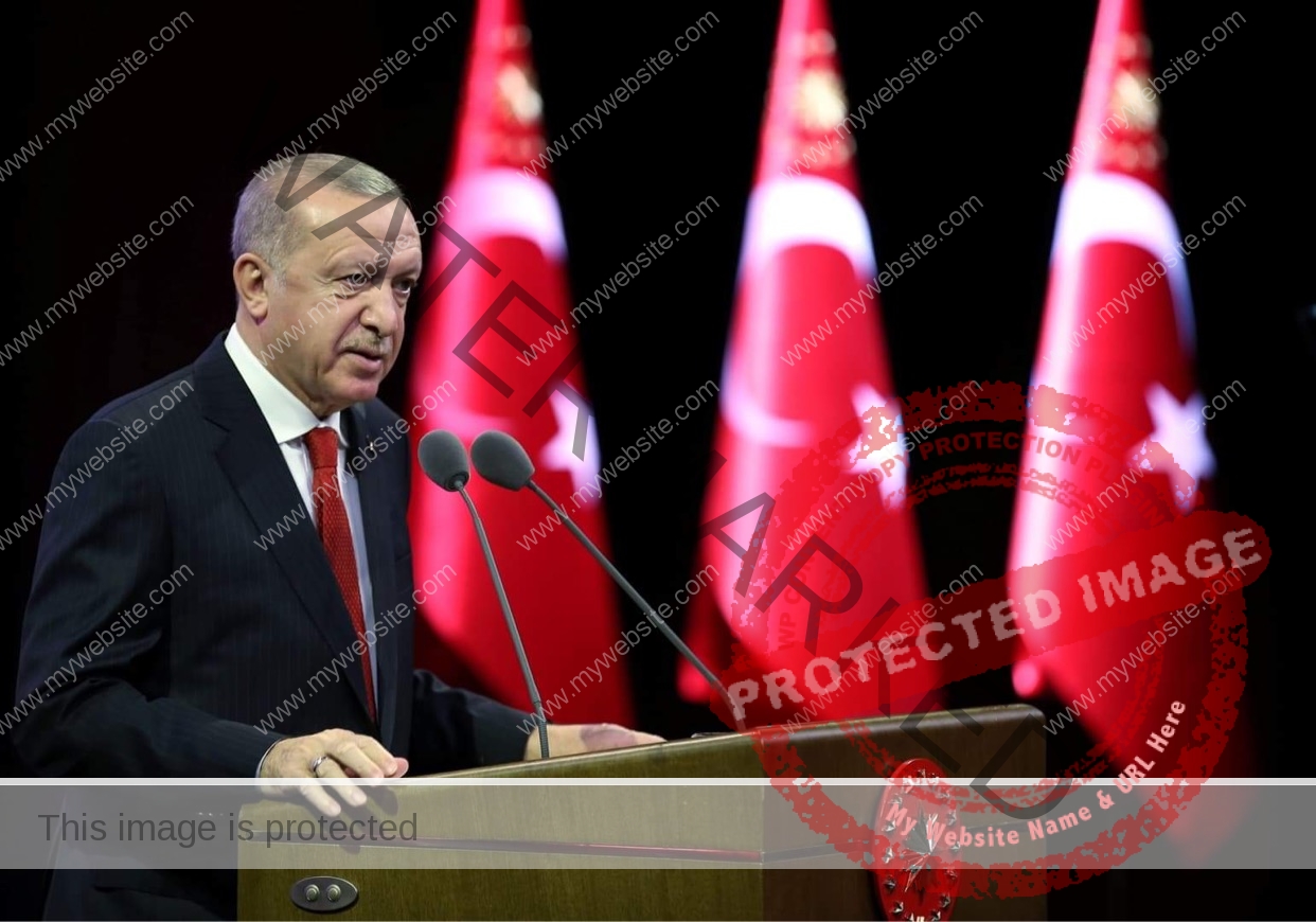 أردوغان: تركيا يكشف عن سبب تخطي فترة وباء كورونا بأقل الخسائر