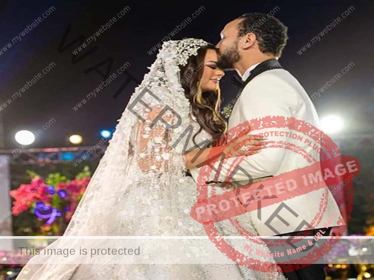 حفل زفاف أحمد خالد صالح وهنادي مهنا وحضور جمال وعلاء مبارك "صور"