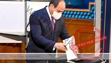 "الرئيس السيسي" يصل للإدلاء بصوته في الانتخابات البرلمانية