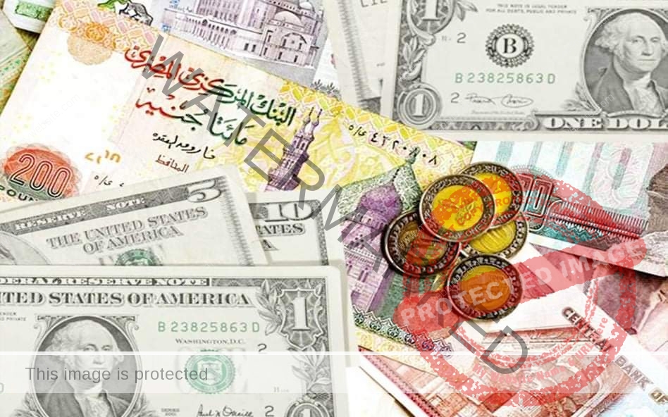 أسعار العملة اليوم الأحد 8 نوفمبر مقابل الجنيه بالبنوك المصرية