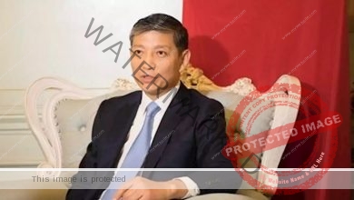 السفير الصيني: حجم الاستثمارات تجاوزت 7.7 مليار دولار في مصر