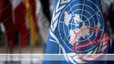 الأمم المتحدة تدعو لإعلان حالة الطوارئ وتناشد زعماء العاام.. والسبب!
