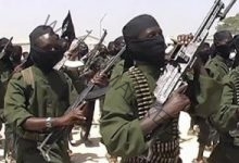 الولايات المتحدة تشن غاراتين جويتين على "حركة الشباب" بالصومال  الشباب في محيط جيليب بالصومال في 10 كانون الأول/ديسمبر" الجاري.