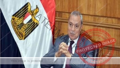 الهجان يرفع درجة الاستعداد القصوي لجولة إعادة إنتخابات مجلس النواب
