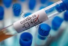 الصحة العالمية: تفاصيل جديدة بشأن لقاحات فيروس كورونا