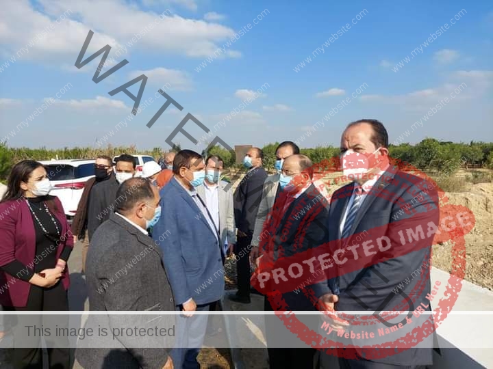 وزير التنمية المحلية ومحافظ البحيرة يتفقدان قرية عبد الحليم محمود