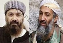 إطلاق سراح المتحدث بأسم بن لادن بسبب وزنه الزائد