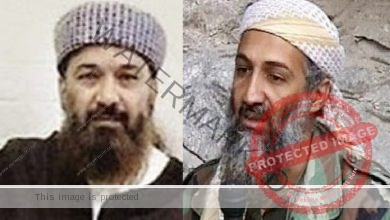 إطلاق سراح المتحدث بأسم بن لادن بسبب وزنه الزائد