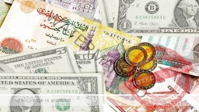أسعار الدولار والعملات الأجنبية مقابل الجنيه بالبنوك المصرية