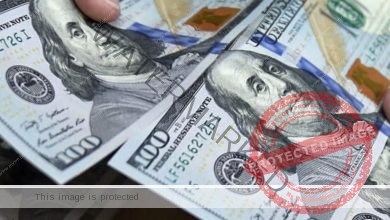 الدولار يواصل الإستقرار بالبنوك المصرية اليوم