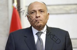 شكرى يؤكد استعداد مصر الدائم للانخراط فى مفاوضات سد النهضة