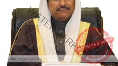 إدانات عربية لهجوم ميليشيا الحوثي الإرهابية على المملكة