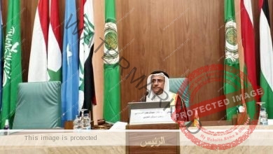 البرلمان العربي يدعم جهود السيسي بـ المحافظة علي الامن القومي
