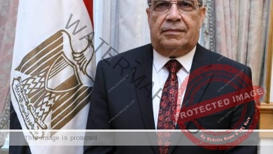 " وزير الدولة للإنتاج الحربى" يشارك بمعرض " IDEX 2021 " أبو ظبى