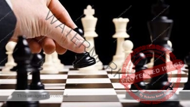مصر للتامين تستعد للمشاركة في بطولة العالم للشطرنج
