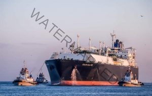 ميناء دمياط يستقبل أول سفينة لتصدير الغاز المسال منذ 8 سنوات