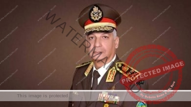وزير الدفاع والوفد العسكري يغادرون القاهرة الي الامارات