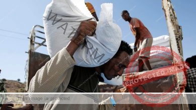 الصليب الأحمر: لايمكن إيصال المساعدات لإقليم تيجراي بنسبة 80 %