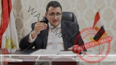 تعيين الدكتور خالد مجاهد مساعدا لوزيرة الصحة للإعلام الصحى